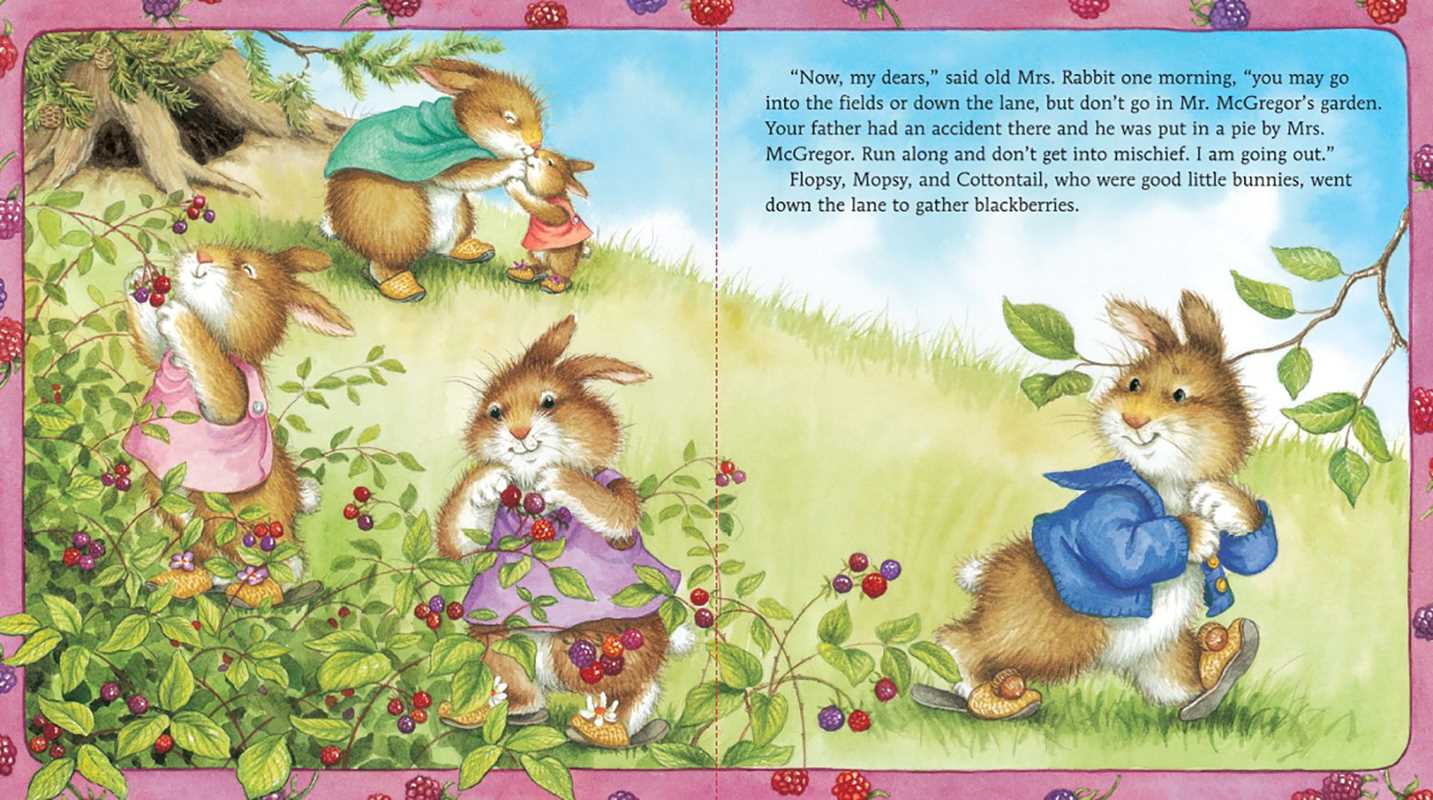 Story of Peter Rabbit by Beatrix Potter: Board Books; 20 pages / English