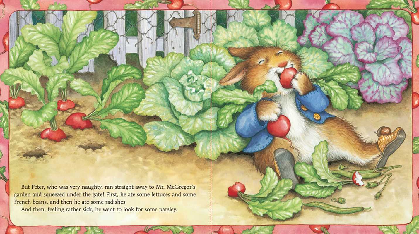 Story of Peter Rabbit by Beatrix Potter: Board Books; 20 pages / English