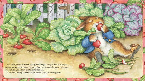 Story of Peter Rabbit by Beatrix Potter: Board Books; 20 pages / English