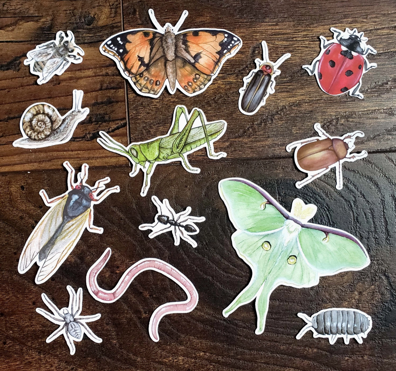 Minibeast Sticker Pack, Set of 13 Matte Vinyl Stickers