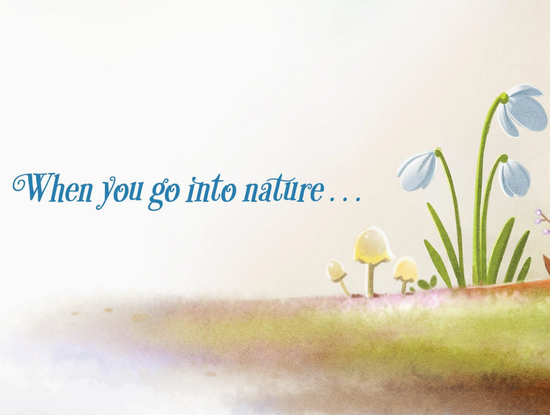 When You Go Into Nature: A Family Guide To Mindfulness