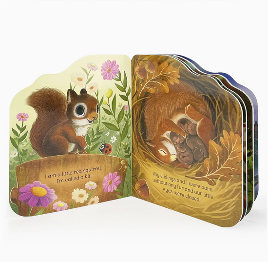 A Little Squirrel Shaped Board Book