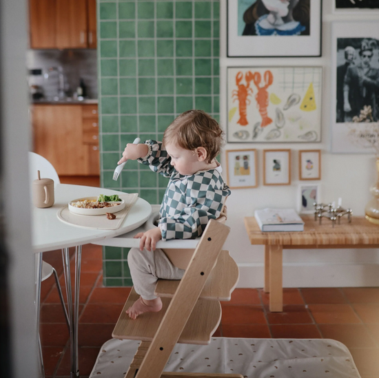 Long Sleeve Bib (Olive Check)