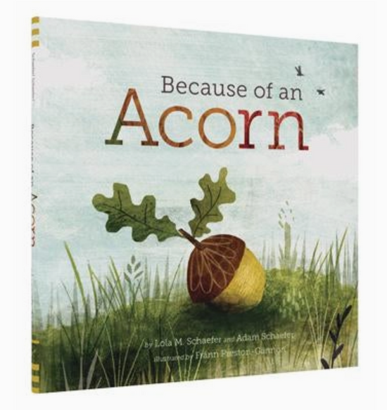 Because of An Acorn