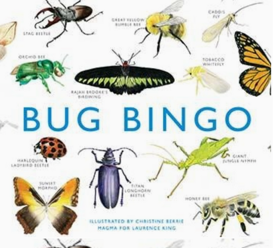 Bug Bingo