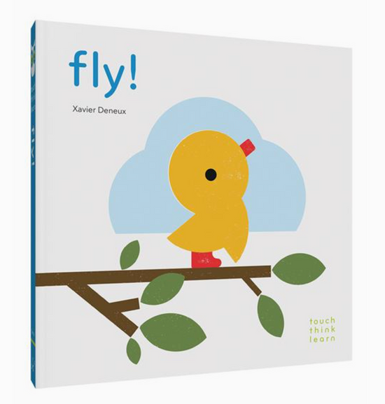 Touchthinklearn: Fly!