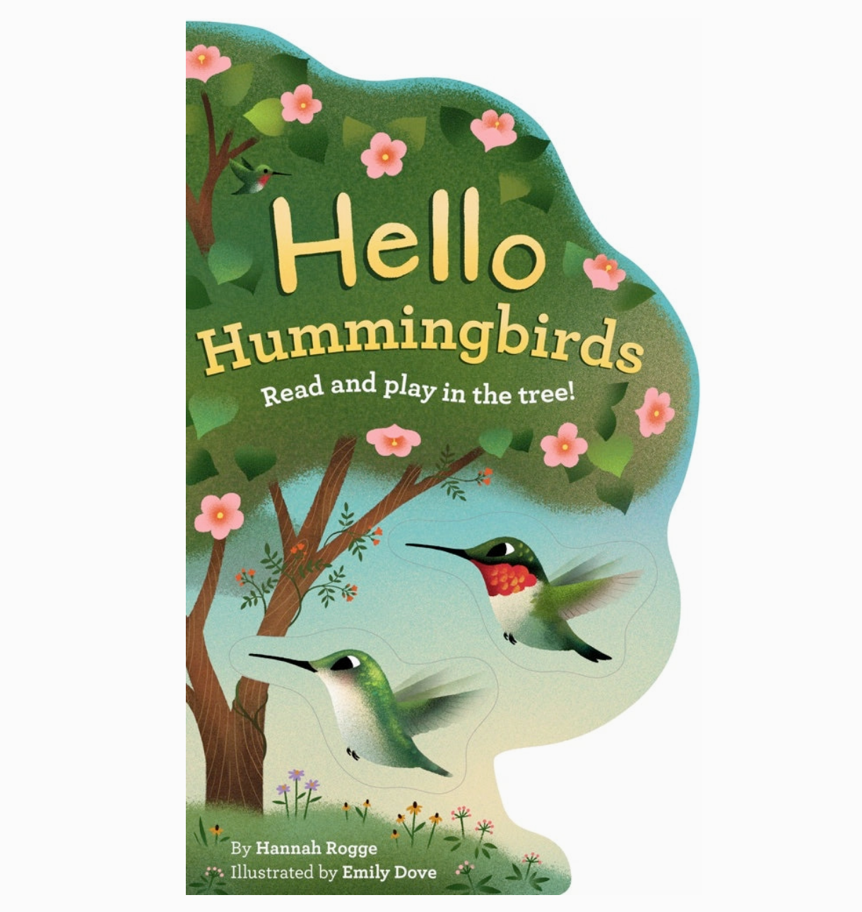 Hello Hummingbirds