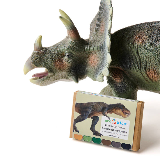 Non-Toxic Beeswax Crayons - Dinosaur Bone - case