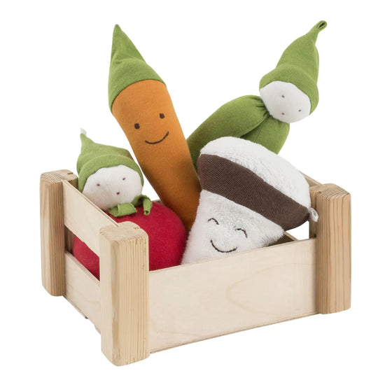 Organic Veggie Crate Toy