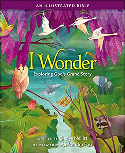 I Wonder: Exploring God's Grand Story: an Illustrated Bible Hardcover