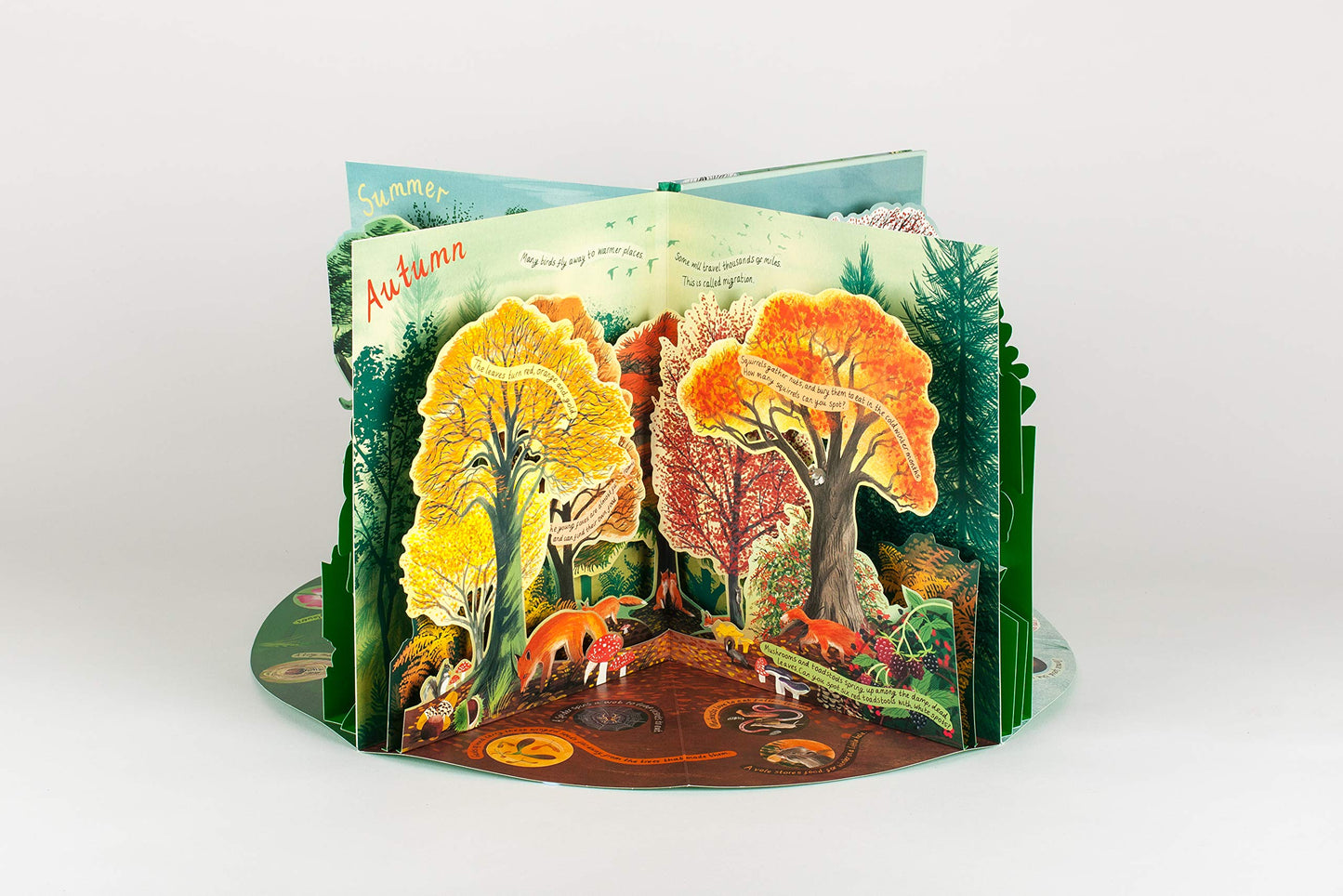 Load image into Gallery viewer, A Year in Nature: A Carousel Book of the Seasons
